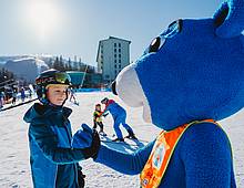 VOLNÉ PRACOVNÍ POZICE