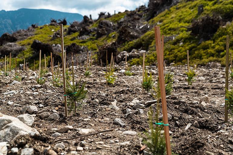 Zelený Chopok 7.5.2026