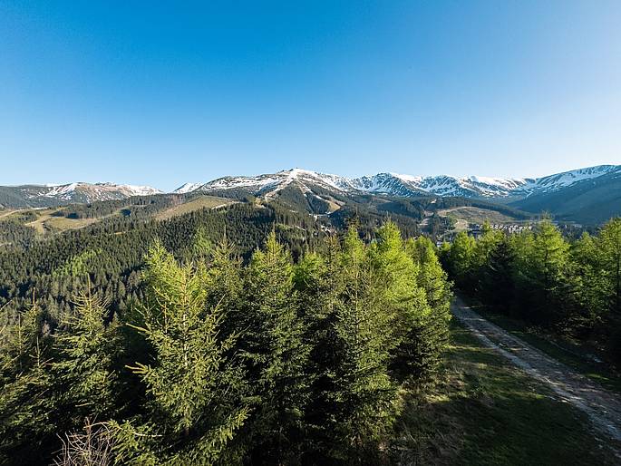 Zelený Chopok 7.5.2026