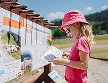 Das Abenteuer des Schäfchens Valaška